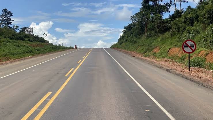  Tragédia em Cristópolis: Jovem Morre Atropelado na BR-242