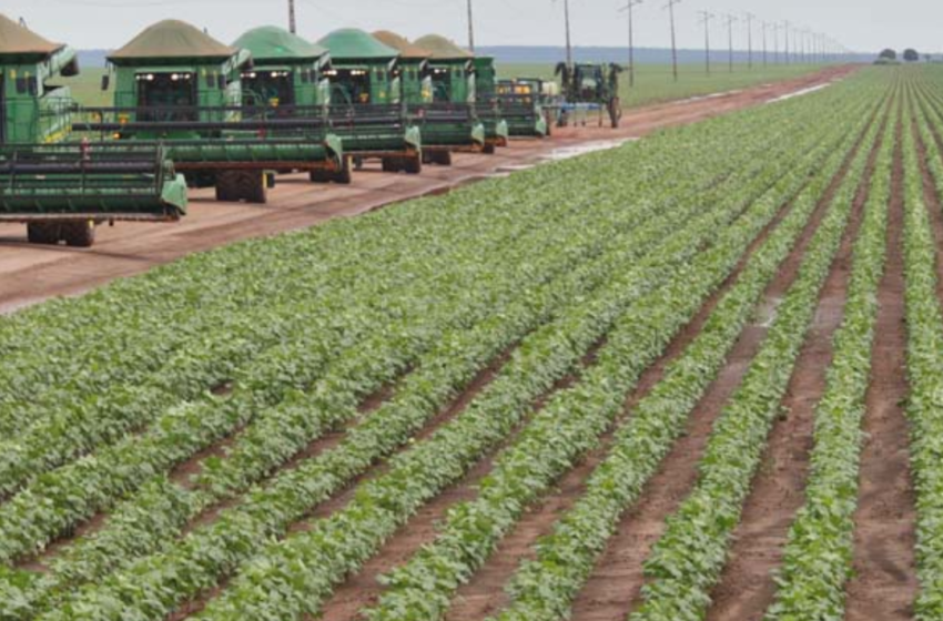  Icofort investe R$ 270 milhões em nova fábrica de algodão no Mato Grosso, com geração de 800 empregos