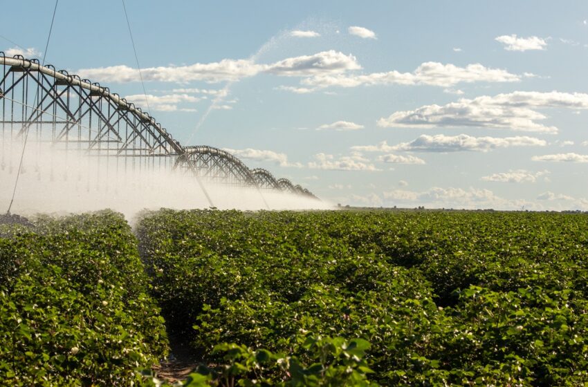  Oeste da Bahia se torna o maior polo de irrigação por pivôs centrais do Brasil