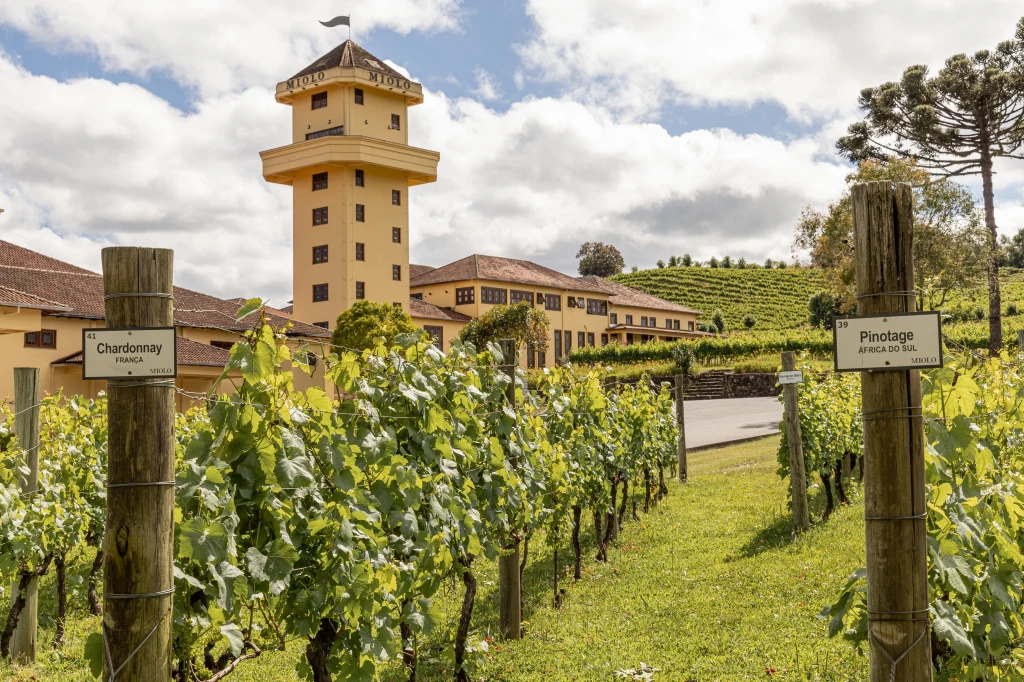 Roteiros Terroirs no Vale dos Vinhedos amplia a diversidade de atrativos ofertados pela matriz da vinícola.