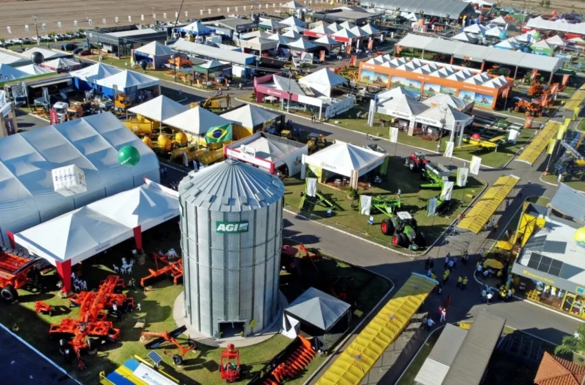  PIB do Agronegócio Baiano Cresce no Primeiro Trimestre, Mas Participação na Economia Cai