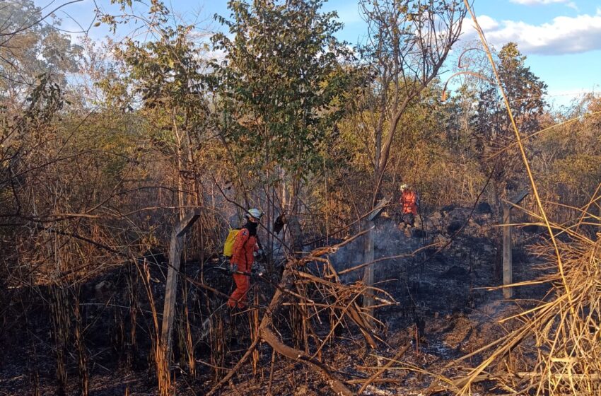 Bombeiros do 17º BBM combatem dois incêndios de grandes proporções em Barreiras neste domingo (22)