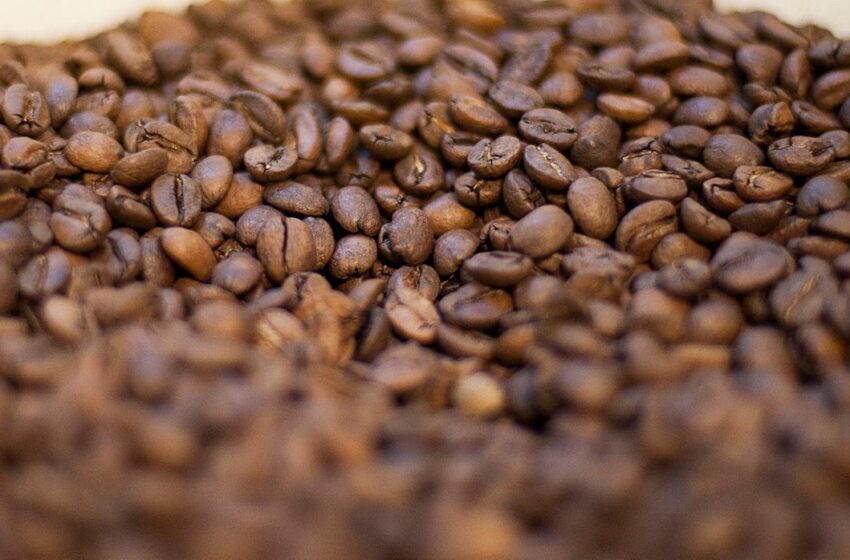  Anvisa determina recolhimento de três marcas de café fake