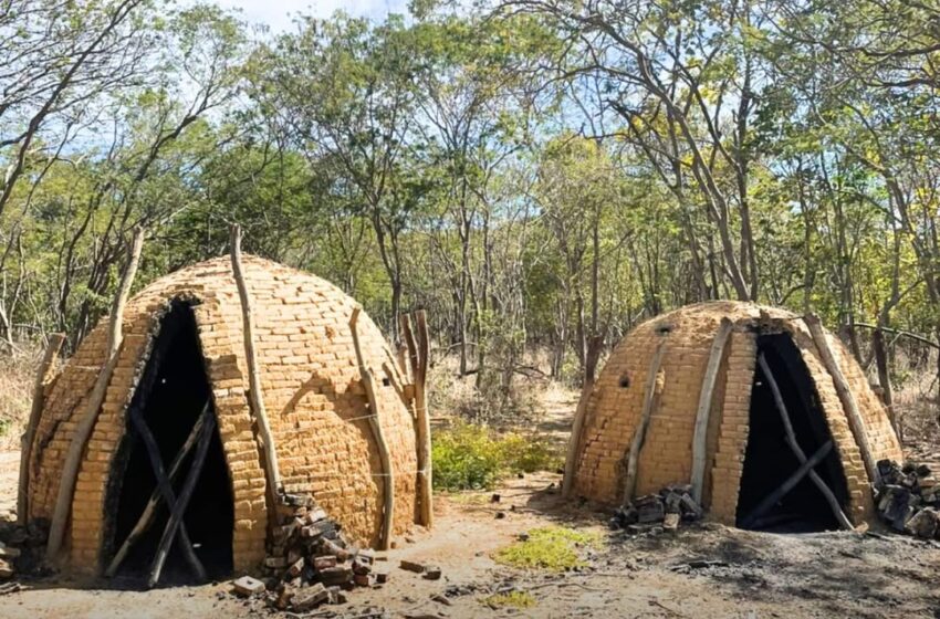  CIPPA/LENÇÓIS LOCALIZA E DESTRÓI FORNOS ILEGAIS DE CARVÃO VEGETAL EM SERRA DO RAMALHO