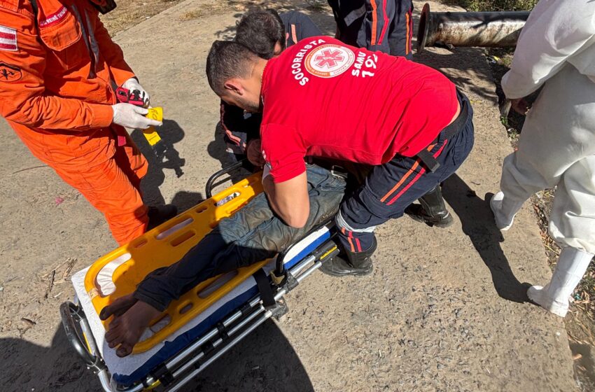  Bombeiros resgatam jovem atacado por abelhas na zona rural de Luís Eduardo Magalhães