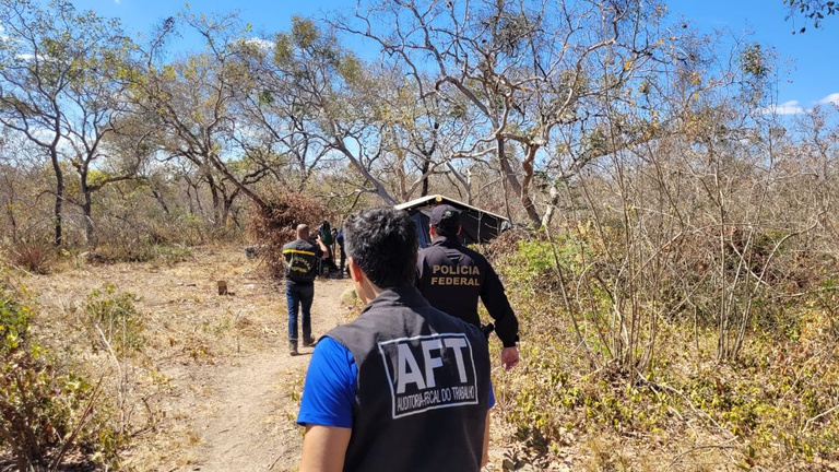  MTE resgata 18 trabalhadores em condições degradantes em carvoarias no Norte de Minas