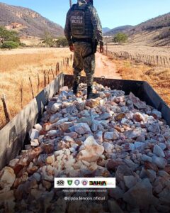 Foto: CIPPA/LENÇÓIS