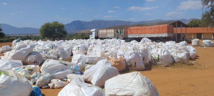 Com maior conscientização, produtores dão a destinação correta a embalagens de agrotóxicos