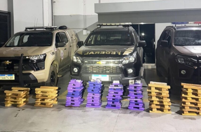  186 Kg de Maconha Apreendidos: PM e PF Interceptam Caminhonete Carregada na BR-135