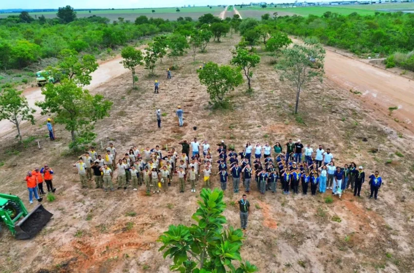  Aiba reúne jovens e voluntários para plantar 1.000 mudas nativas do Cerrado em Luís Eduardo Magalhães