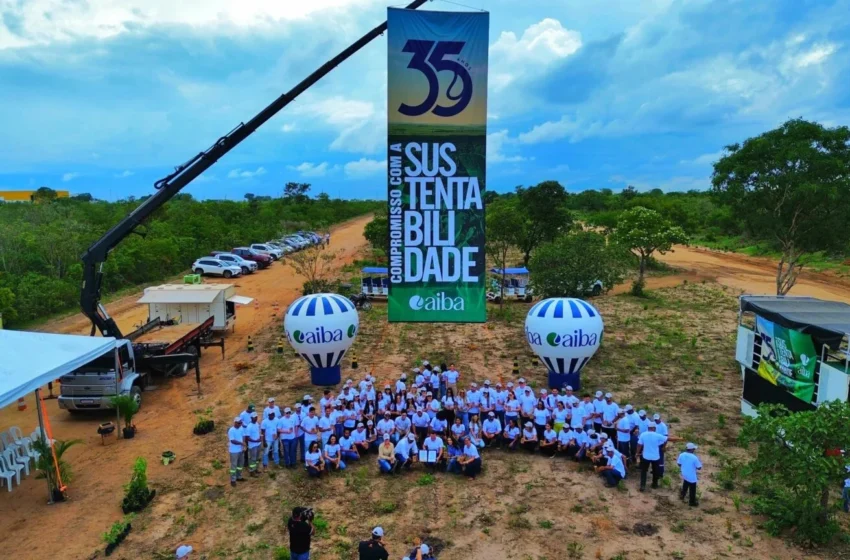  Em clima de confraternização, Aiba celebra meta alcançada de 35 mil mudas plantadas e apresenta balanço de ações 2025
