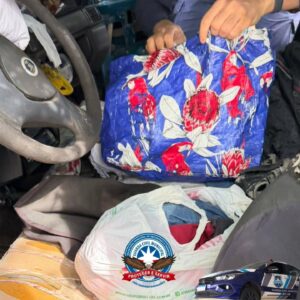 Foto: Divulgação/GCM-LEM Foto: Divulgação/GCM-LEM