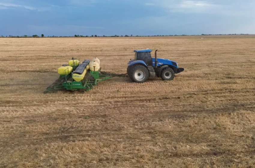  Plantio de soja chega a 99,2% no Cerrado baiano e cenário da safra é considerado promissor