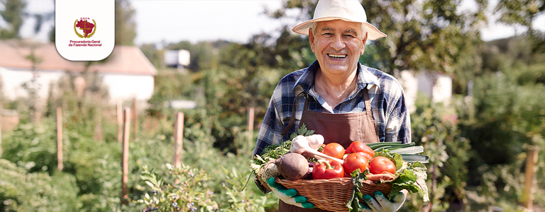  Desenrola Rural registra avanços na regularização de dívidas de agricultores familiares