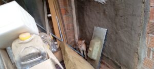 Foto: 17° BBM Imprensa