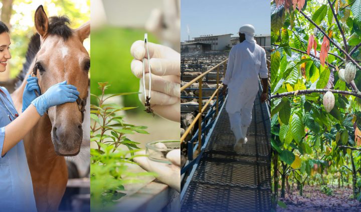  Edital do concurso público da ADAB é publicado com 200 vagas