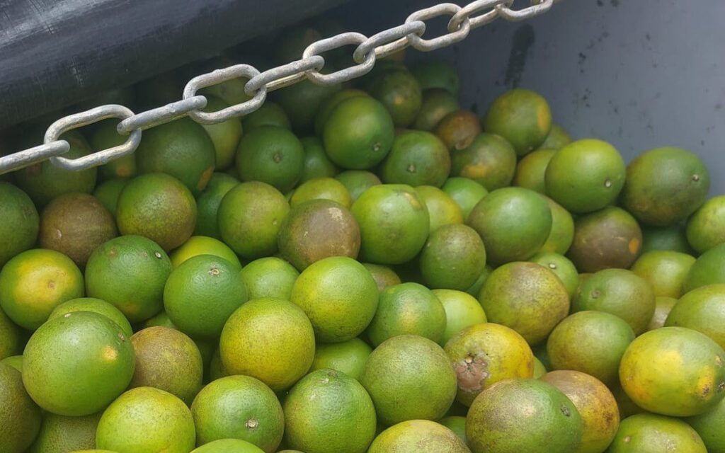 Adab intercepta 14 04 2026 2 edited