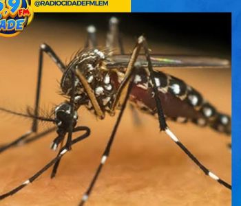 Brasil supera os 700 mil casos prováveis de dengue 
