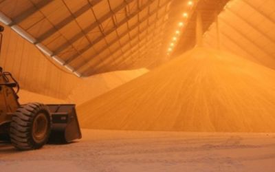 Chicago: Farelo sobe mais de 3%, trigo mais de 1% e ambos puxam forte os futuros da soja em grão nesta 6ª